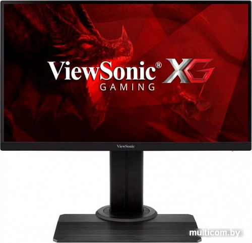 Монитор ViewSonic XG2405