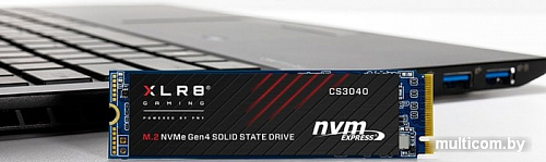 SSD PNY XLR8 CS3040 500GB M280CS3040-500-RB