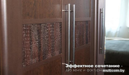 Шкаф распашной Империал Токио угловой (венге)