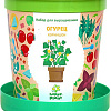 Набор для опытов Happy plant Огурец корнишон hpn-19