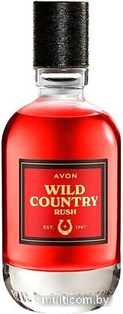 Туалетная вода Avon Wild Country Rush EdT (75 мл)