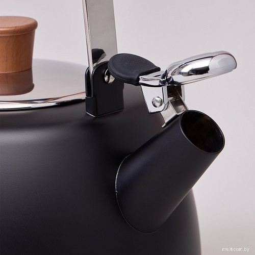 Чайник со свистком Agness 937-912