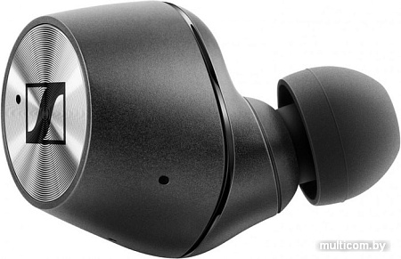 Наушники Sennheiser Momentum True Wireless