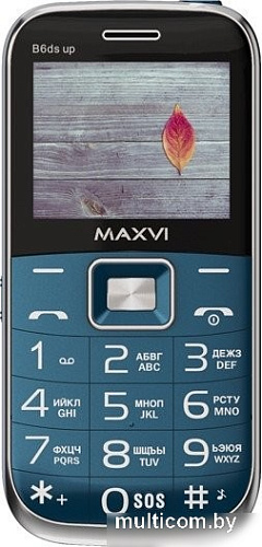 Кнопочный телефон Maxvi B6ds up (маренго)