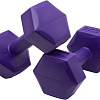 Набор гантелей BaseFit DB-305 2x2 кг (фиолетовый)