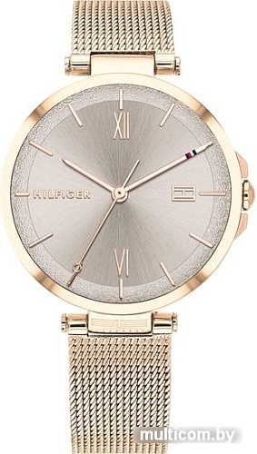 Наручные часы Tommy Hilfiger 1782208