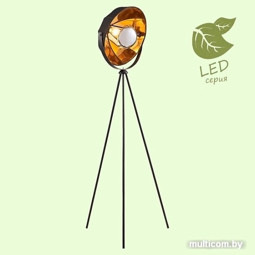 Торшер Lussole Lgo GRLSP-0556