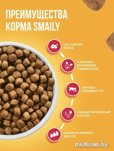 Сухой корм для собак Smaily Adult Maintenance для всех взрослых пород 10 кг