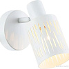 Ambrella TR8663 WH (белый)