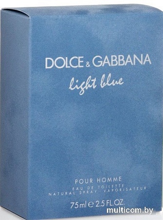 Dolce&Gabbana Light Blue pour Homme EdT (75 мл)