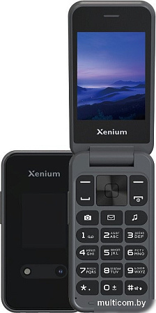 Телефон Xenium Xenium X680 (темно-серый)