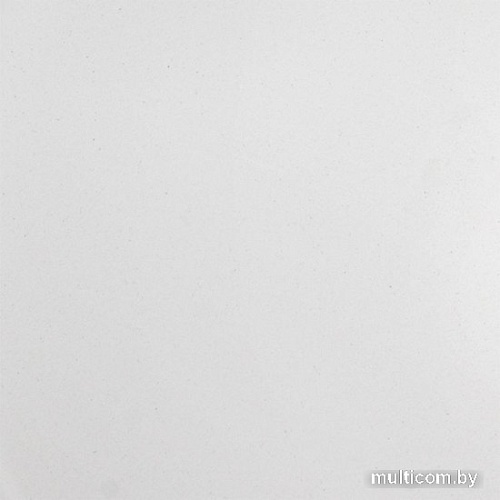 Кухонная мойка Wisent 480-28WR (с сифоном GER013)