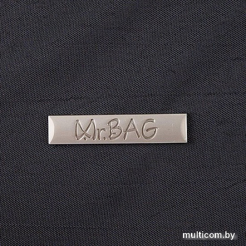 Mr.Bag 039-602/2-BLK (черный)