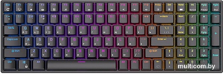 Клавиатура Royal Kludge RK100 RGB (черный, RK Red)