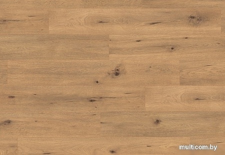 Ламинированный пол EGGER Pro Classic 4V EPL182 Дикий дуб натуральный
