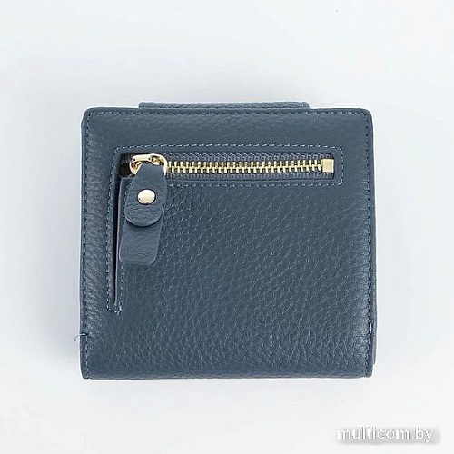 Кошелек Francesco Molinary 895-8005-DBL (синий)