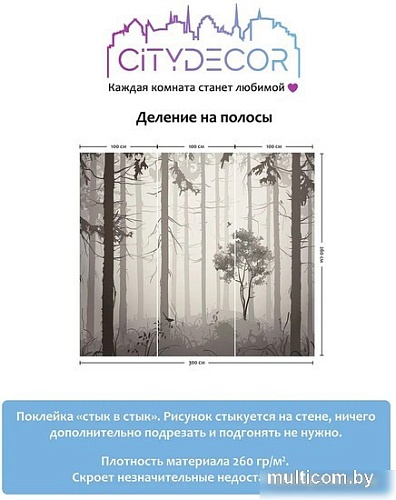 Фотообои Citydecor Dark Side 35 300x260