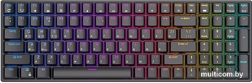 Клавиатура Royal Kludge RK100 RGB (черный, RK Red)