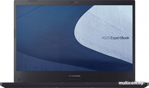 Ноутбук ASUS ExpertBook P2 P2451FA-BV1299T