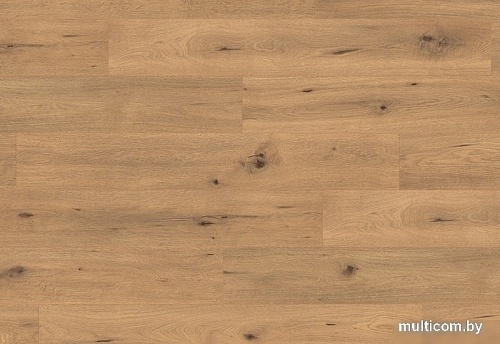 Ламинированный пол EGGER Pro Classic 4V EPL182 Дикий дуб натуральный