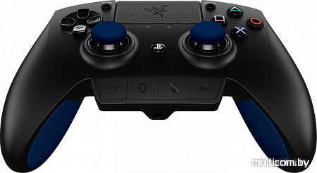Razer Razer Raiju