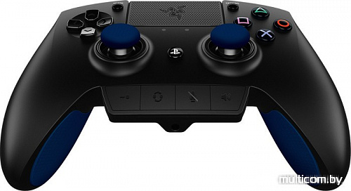 Razer Razer Raiju