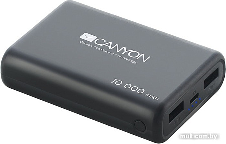 Портативное зарядное устройство Canyon CNS-CPBP10B