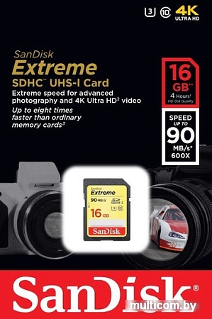 Карта памяти SanDisk Extreme SDHC Class 10 16GB [SDSDXNE-016G-GNCIN]