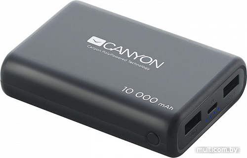 Портативное зарядное устройство Canyon CNS-CPBP10B
