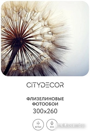 Фотообои Citydecor Цветы и Растения 140 300x260