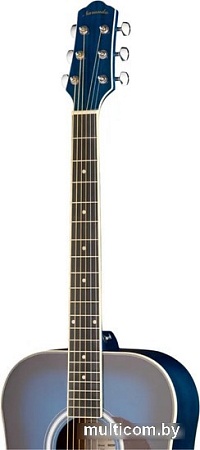 Акустическая гитара Naranda DG220BLS