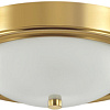 Припотолочная люстра Lumion Nina 5259/2C