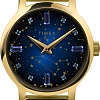Наручные часы Timex Transcend TW2V51900