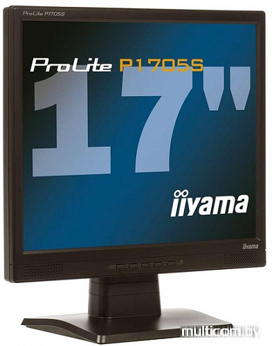 Монитор Iiyama ProLite P1705S