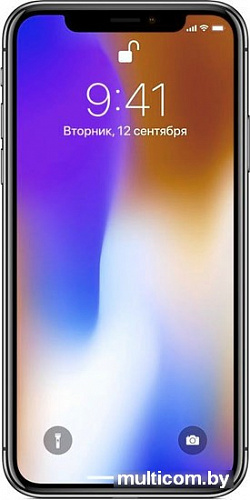 Смартфон Apple iPhone X 256GB (серый космос)