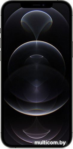 Смартфон Apple iPhone 12 Pro Max 128GB (графитовый)