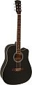 Акустическая гитара Elitaro E4120 BK