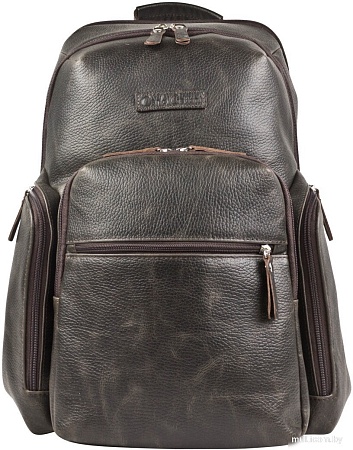 Carlo Gattini Sinfonica Bertario 3102-04 (темно-коричневый)