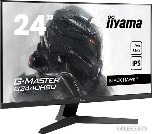 Монитор Iiyama G-Master G2440HSU-B1