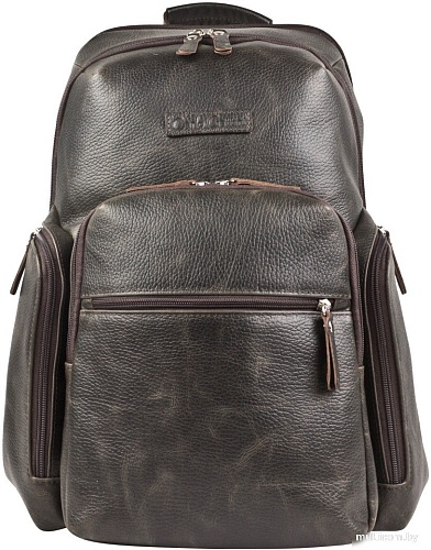 Carlo Gattini Sinfonica Bertario 3102-04 (темно-коричневый)