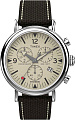 Наручные часы Timex TW2V43800