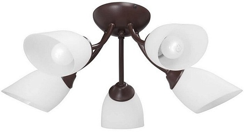 Припотолочная люстра Vitaluce V3404/5PL