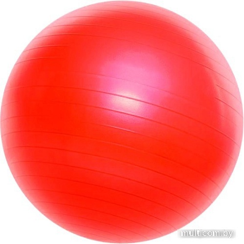 Мяч Darvish DV-S-79 65 см (красный)