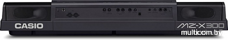 Рабочая станция Casio MZ-X300