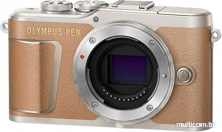 Фотоаппарат Olympus PEN E-PL9 Body (коричневый)