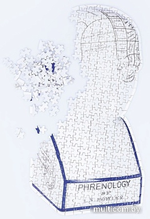 Пазл Doiy Phrenology