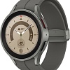 Умные часы Samsung Galaxy Watch 5 Pro 45 мм (серый титан)