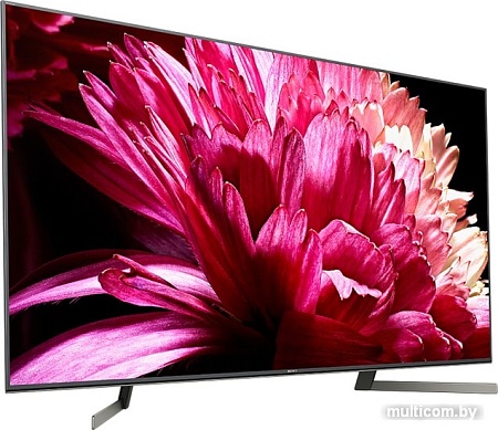 Телевизор Sony KD-65XG9505