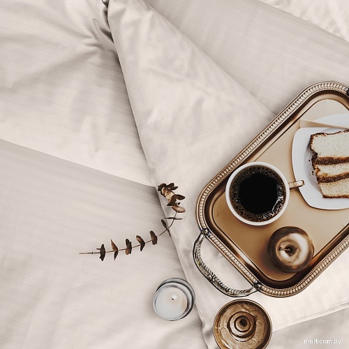 Постельное белье Verossa Stripe 50x70 70243 (Antique White)