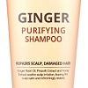 Шампунь Esthetic House CP-1 Ginger Purifying 100 мл